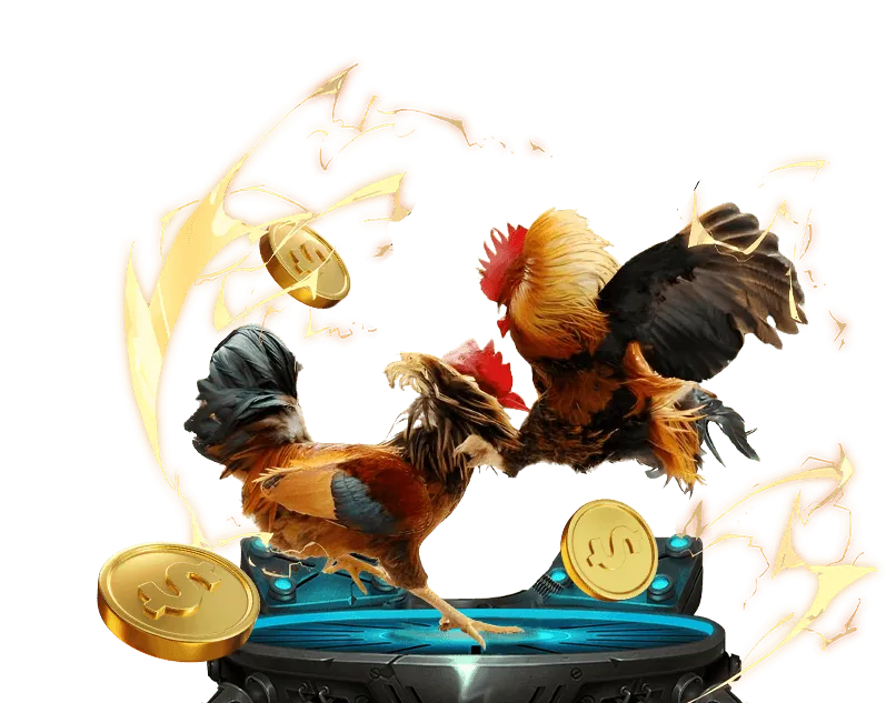 Giới thiệu nền tảng so do 66